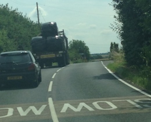 A positive omen on the way to wedding at Wethele Manor, by harpist Michelle Dalton