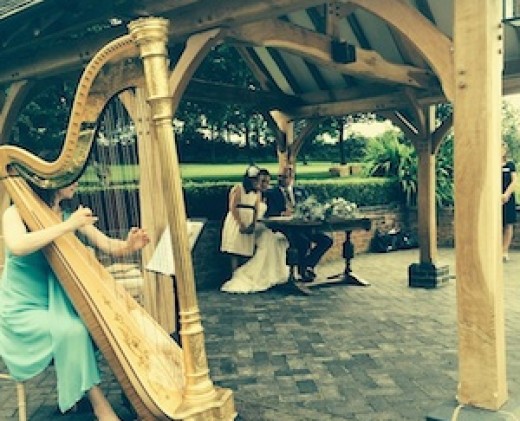 Wethele Manor wedding harpist